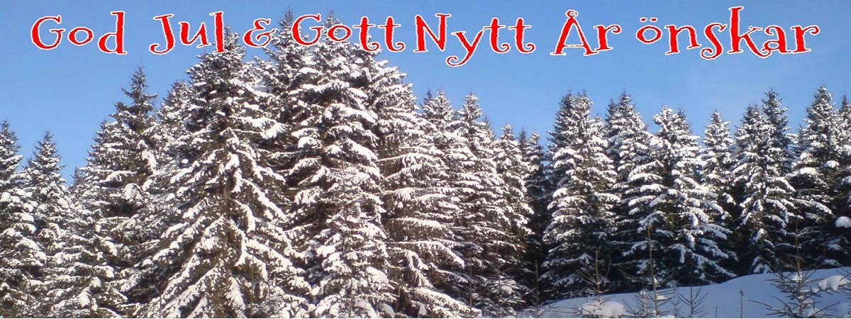 God Jul & Gott Nytt